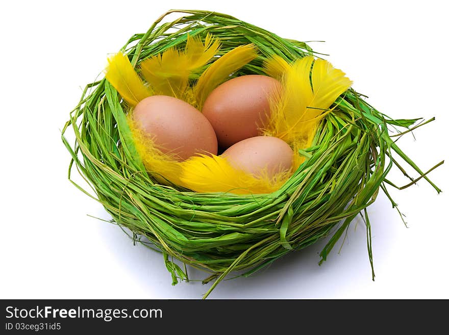 Nest full of Easter eggs on white background. Nest full of Easter eggs on white background