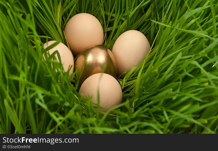 Easter eggs in the grass