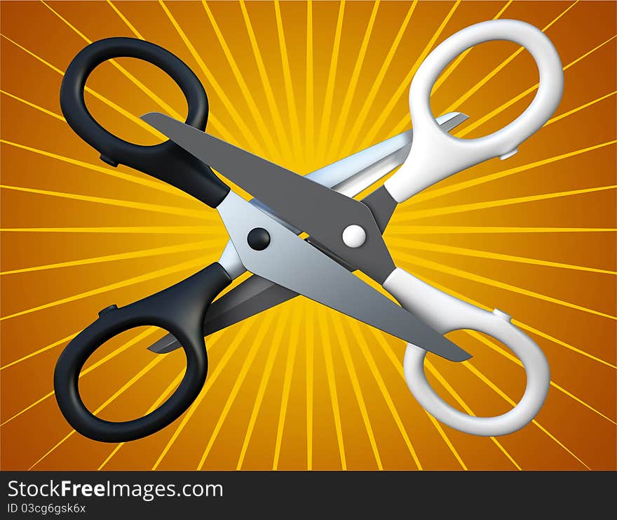 Pair of the scissors