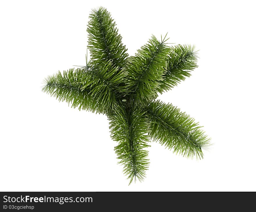 Rendered 3d isolated Foxtail Palm (Wodyetia bifurcata)