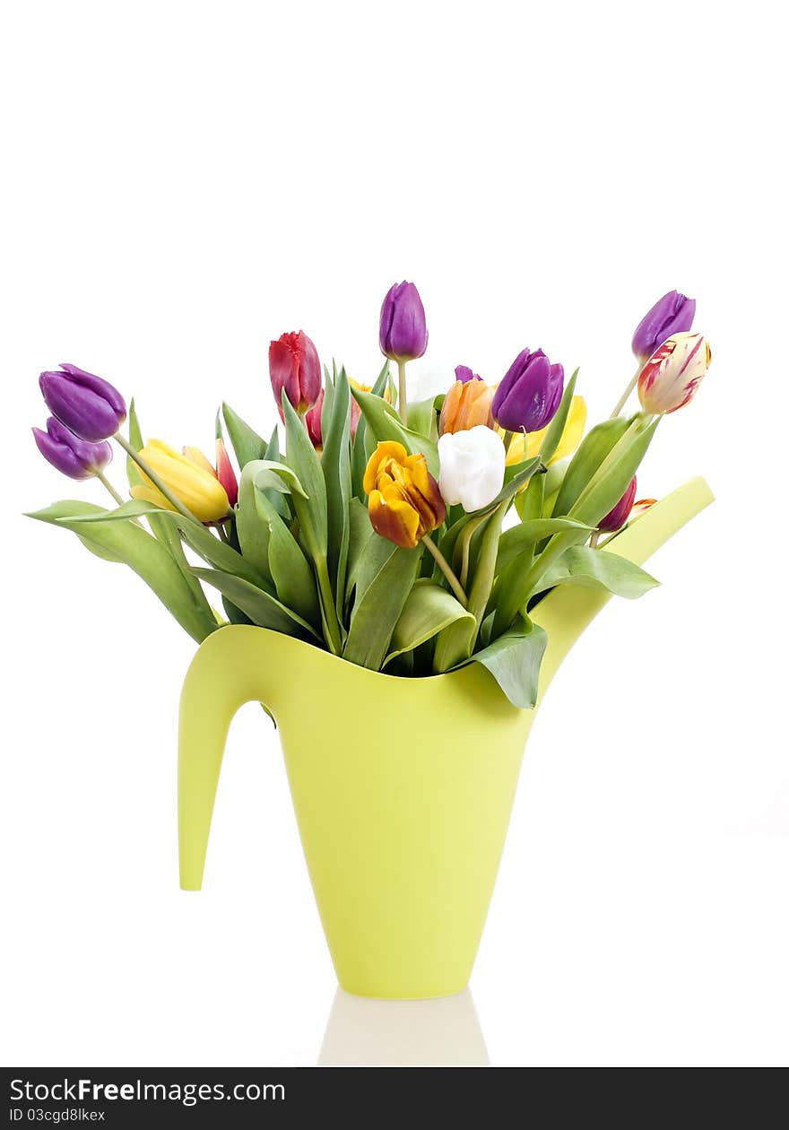 Easter Tulips