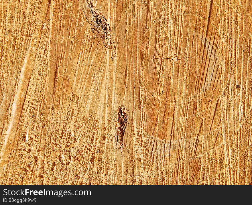 Freshly cutting tree textures background