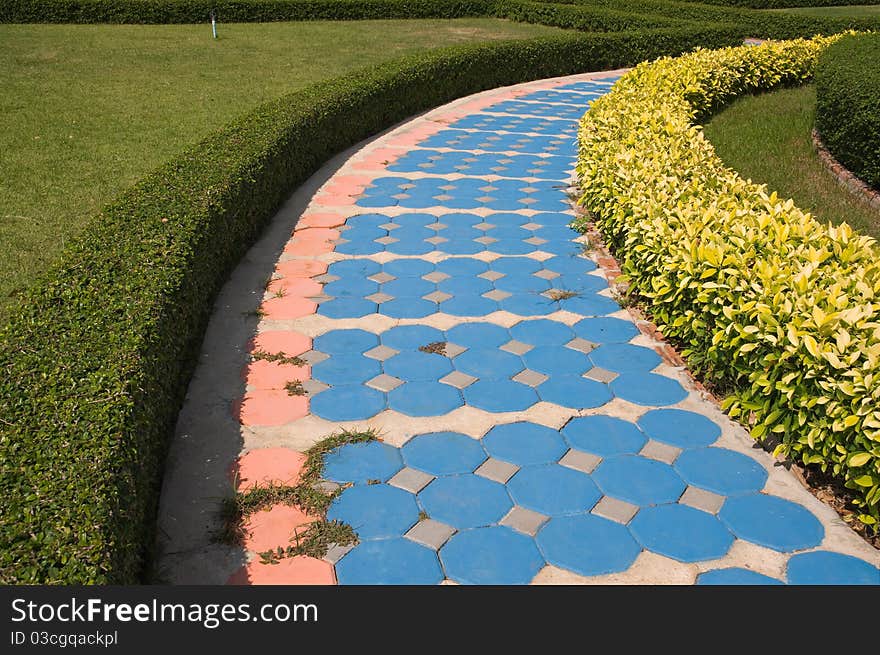 Pathway in the garden