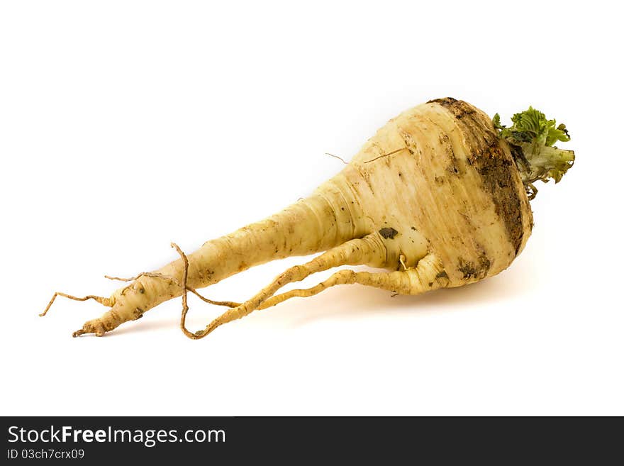 Single parsnip isolated on a white background. Single parsnip isolated on a white background