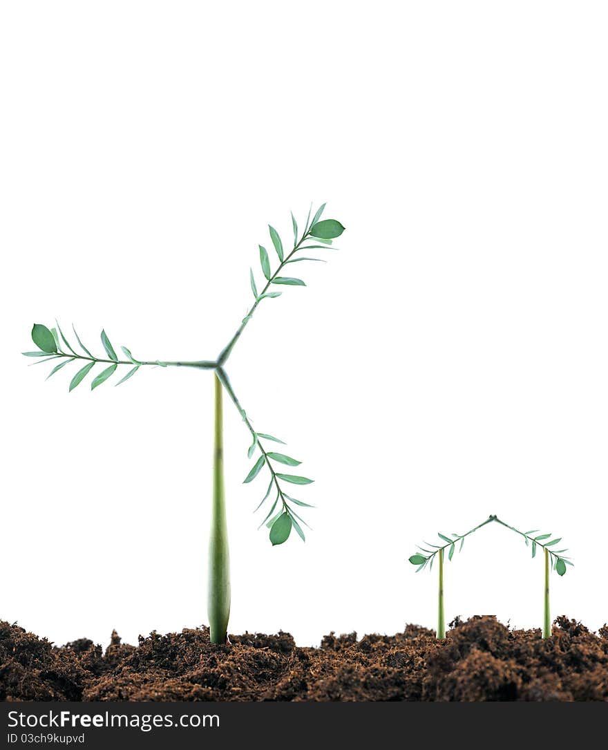 Plant as a windmill and dirt. Plant as a windmill and dirt