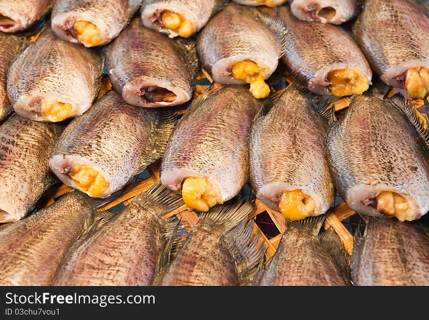 Dry Gourami fish