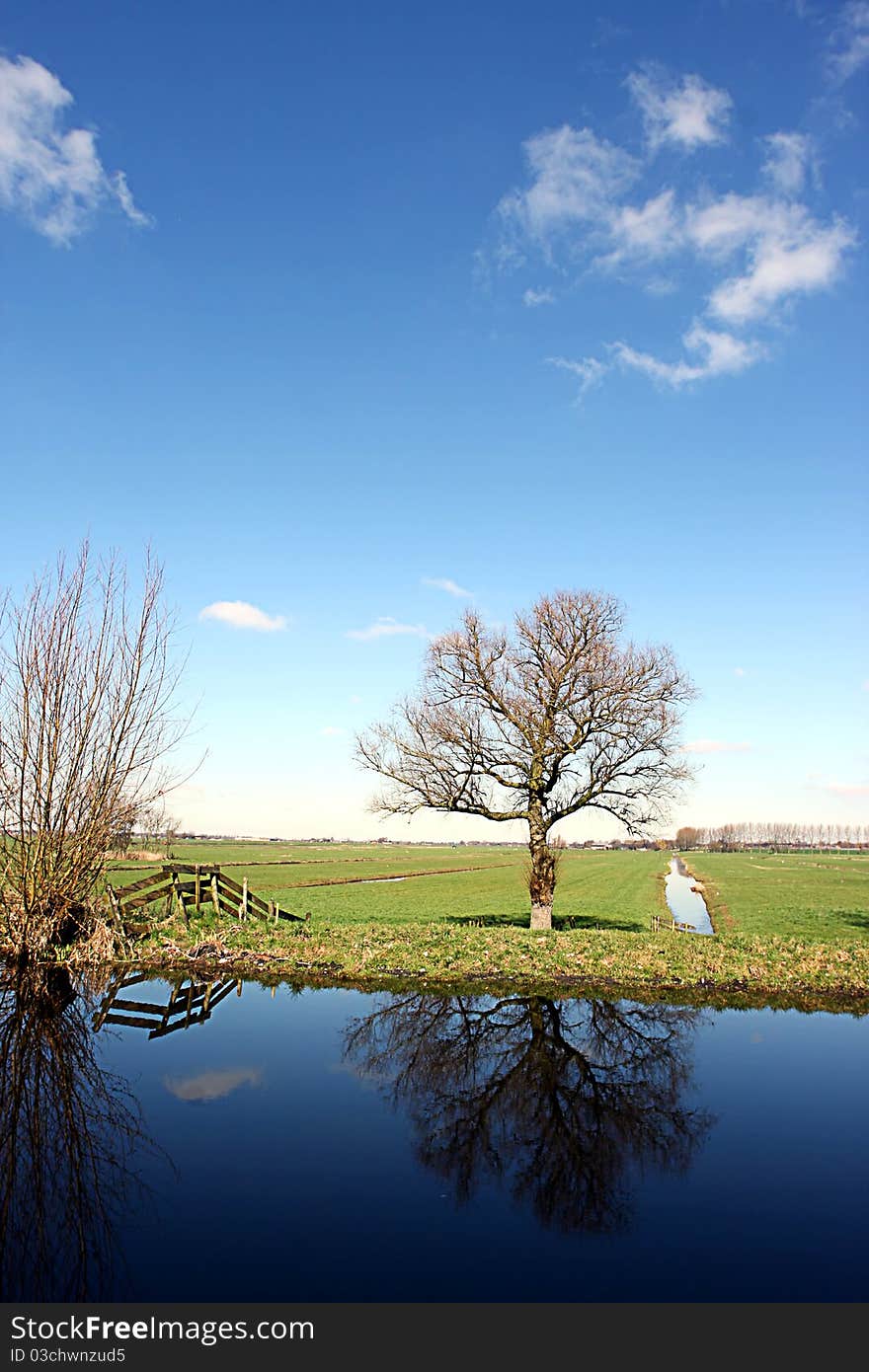 Dutch Farmland