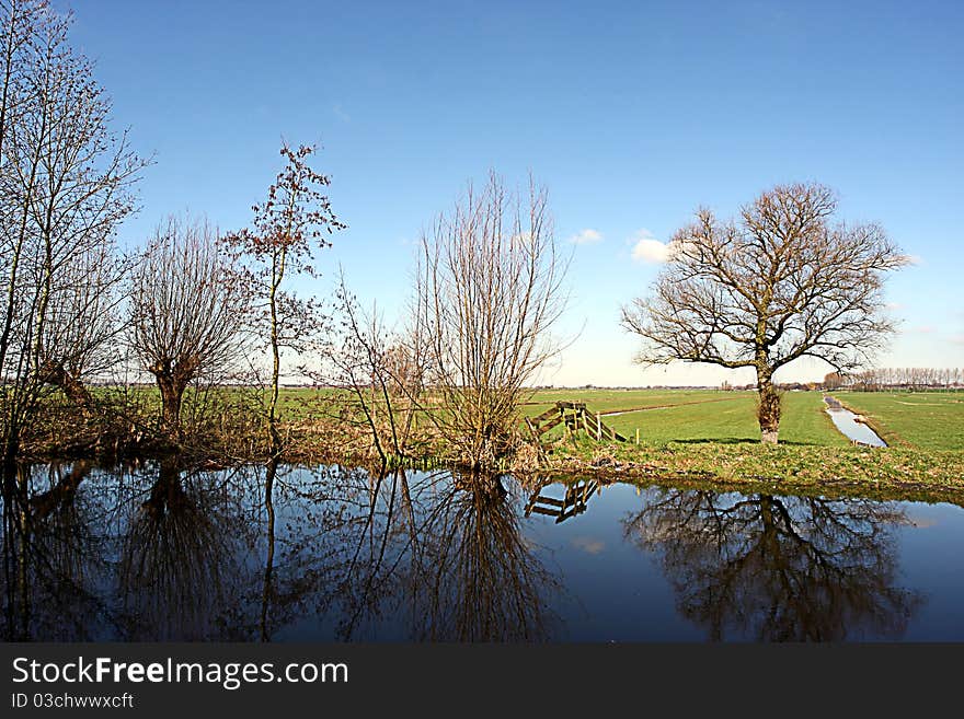 Dutch Landscape