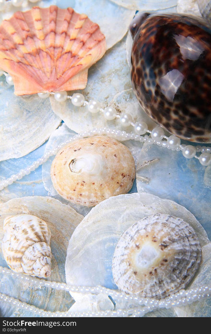 Image of pearls and shells together with a blue wash out colour. Image of pearls and shells together with a blue wash out colour