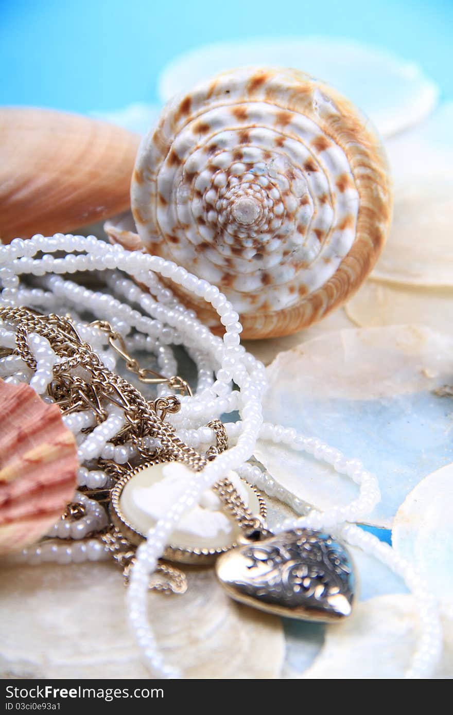 Jewellery shells