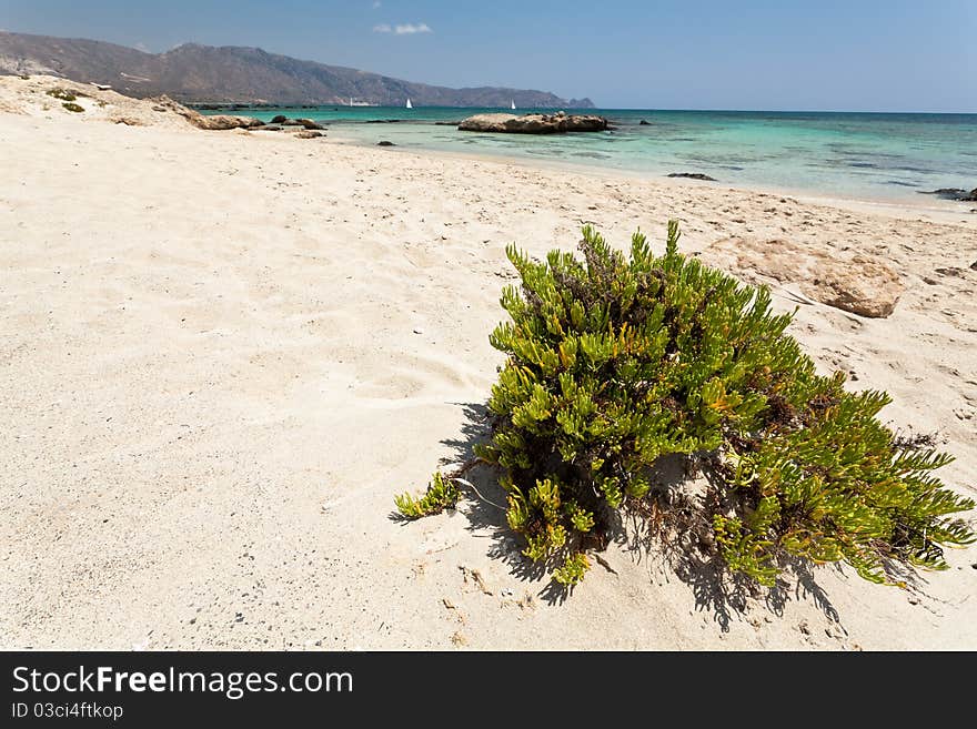 Beautiful Elafonisi beach with turquoise sea. (Crete, Greece). Beautiful Elafonisi beach with turquoise sea. (Crete, Greece)