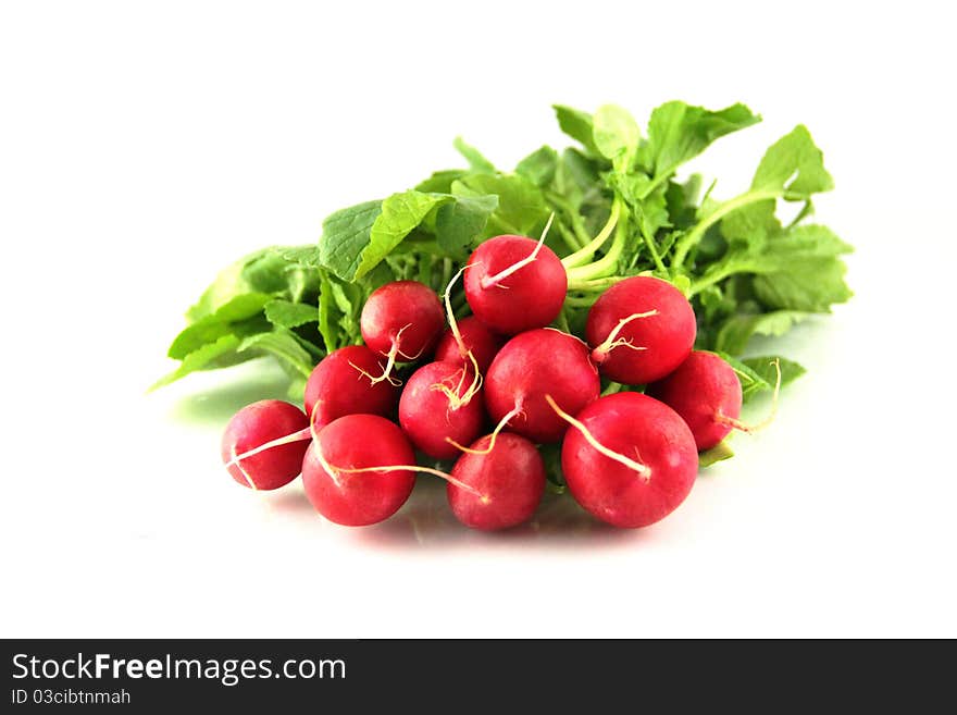 Radish