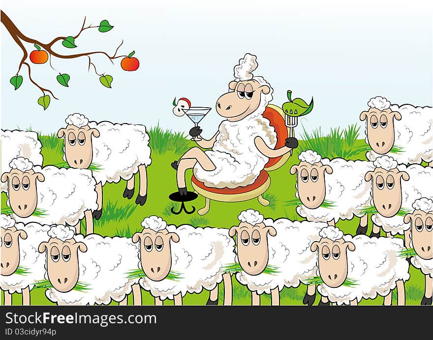 Enterprising sheep separated from the herd. Abnormal behavior. Enterprising sheep separated from the herd. Abnormal behavior.