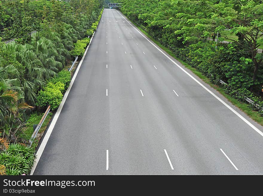 Above View Of An Empty Highway Lined With Trees On Both Sides