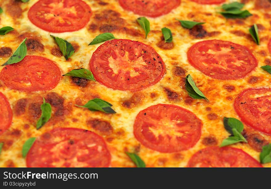 Closeup of a basil and tomato homemade pizza just fresh out of the oven. Closeup of a basil and tomato homemade pizza just fresh out of the oven