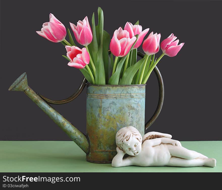 Tulips In Watering Can With Cherub