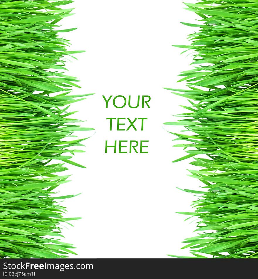 Fresh green grass isolated on white background