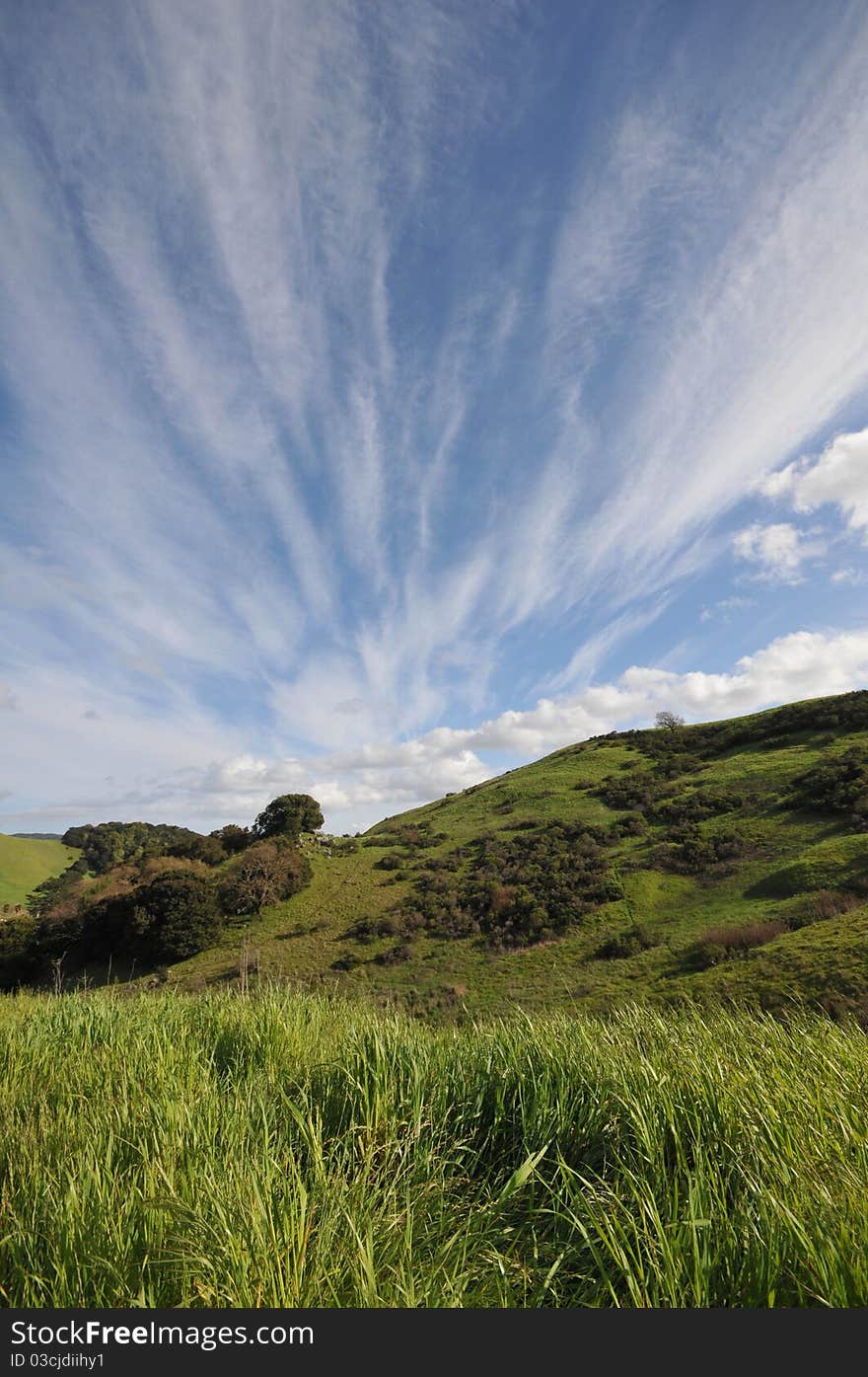 Field with grass, hils, and sky