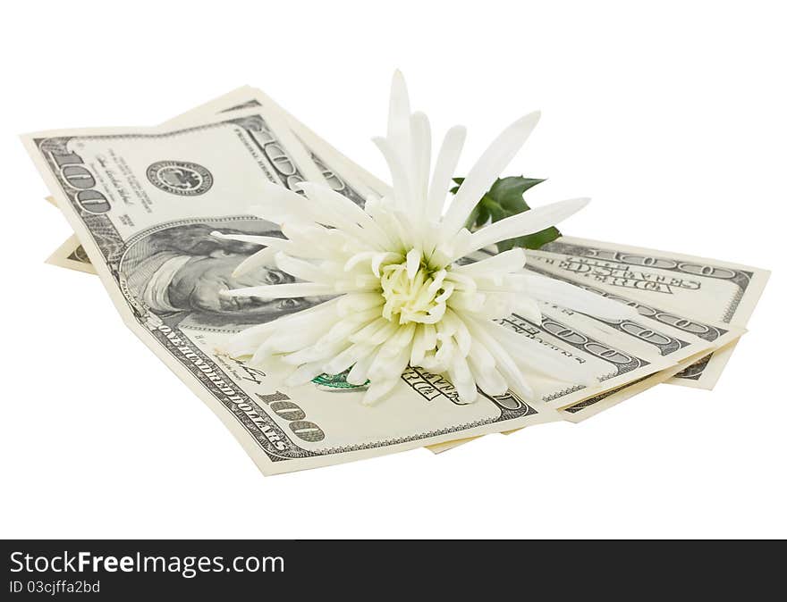 Dollars And Flower