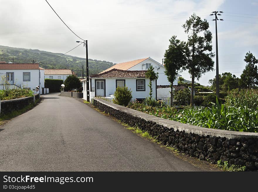 Country road in Pico island, Azores