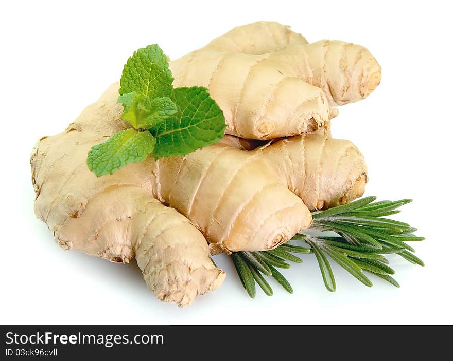 Root of ginger with mint and rosemary