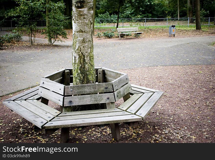 Bench around tree