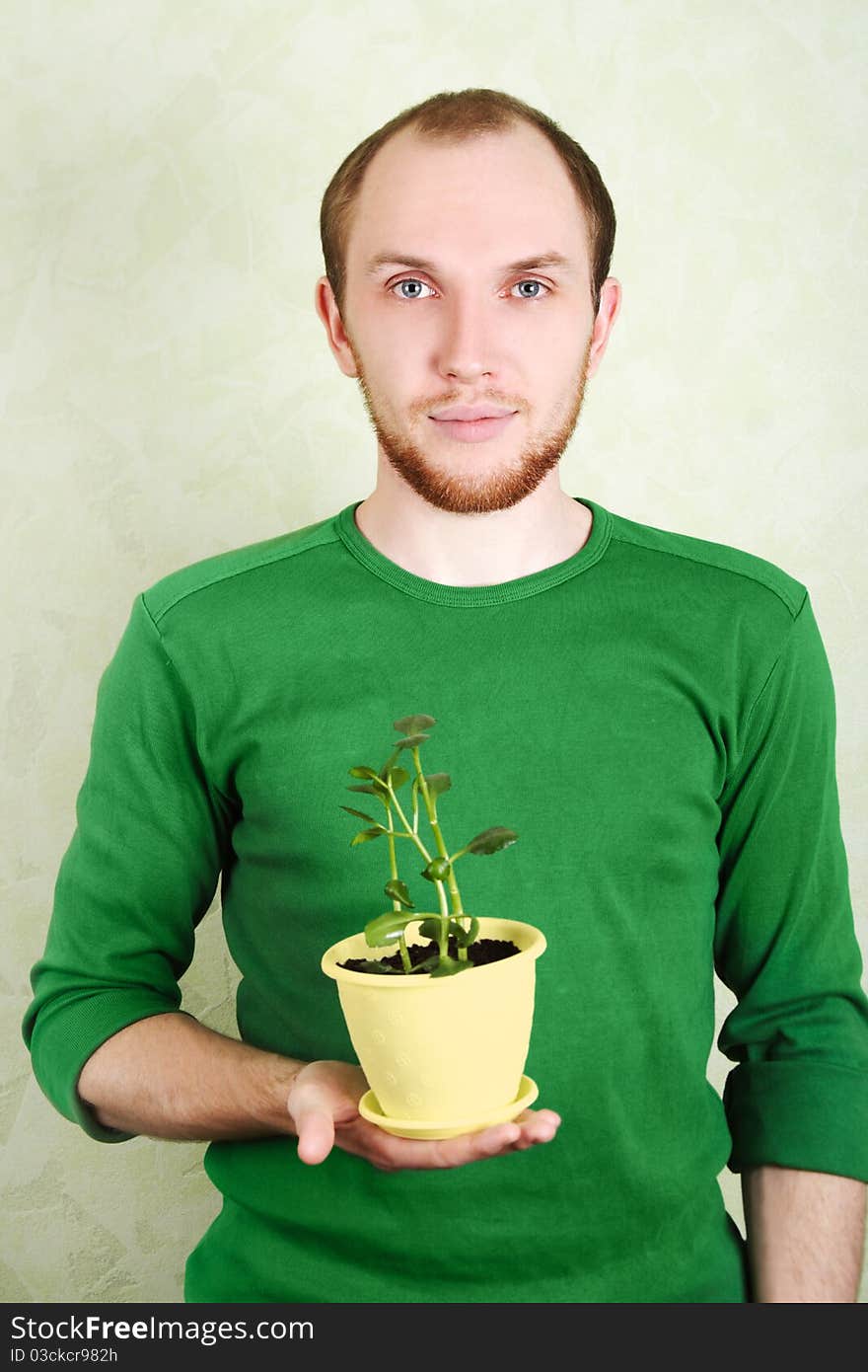 Man in green shirt holding yellow flowerpot with Kalanchoe plant. Man in green shirt holding yellow flowerpot with Kalanchoe plant
