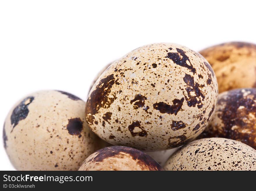 Quail eggs