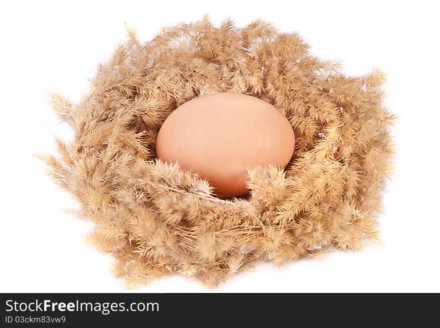 An egg in a nest