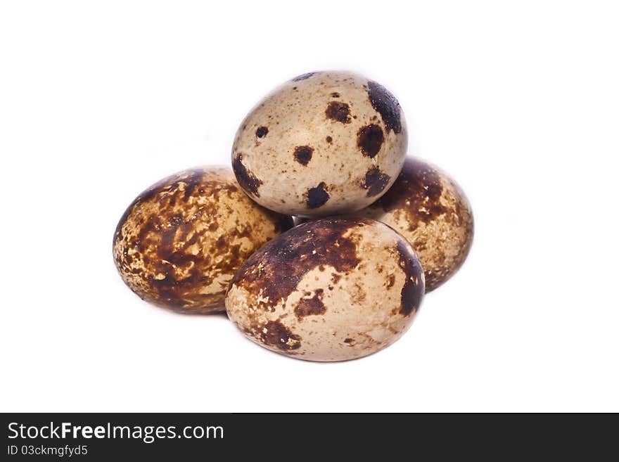 Quail Eggs Across White