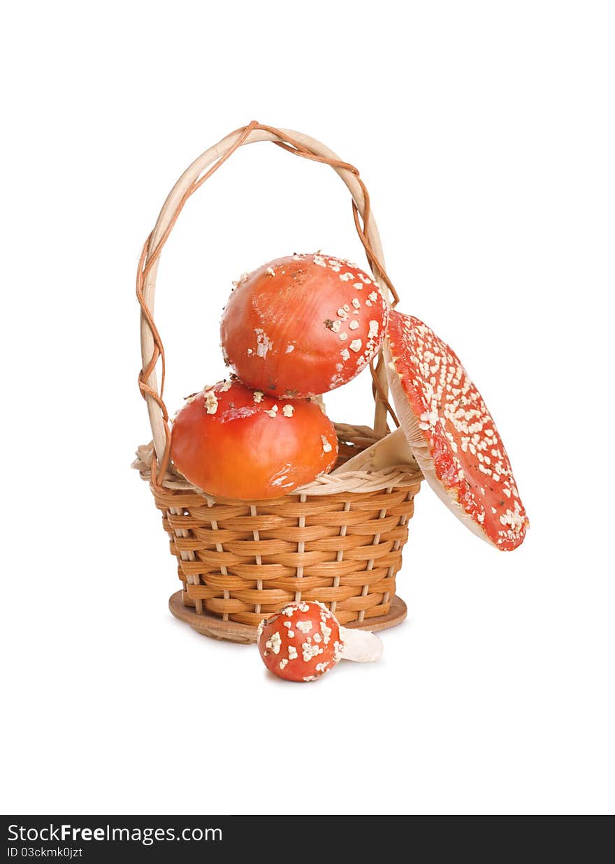 Basket full mushrooms isolated on a white background. Basket full mushrooms isolated on a white background