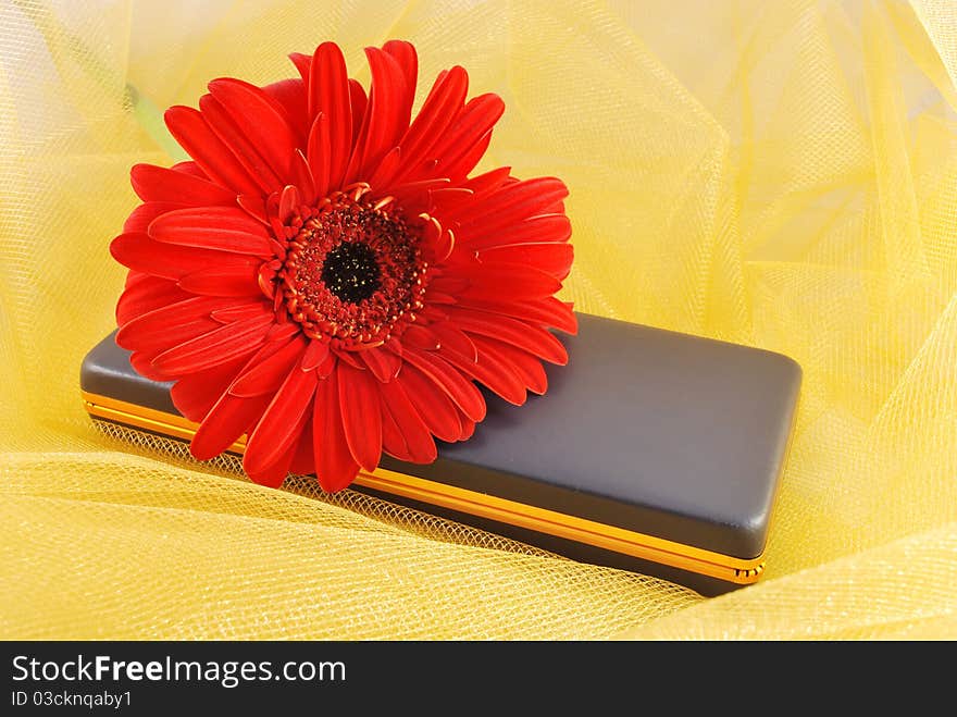 Orange daisy on a present box over yellow organza fabric