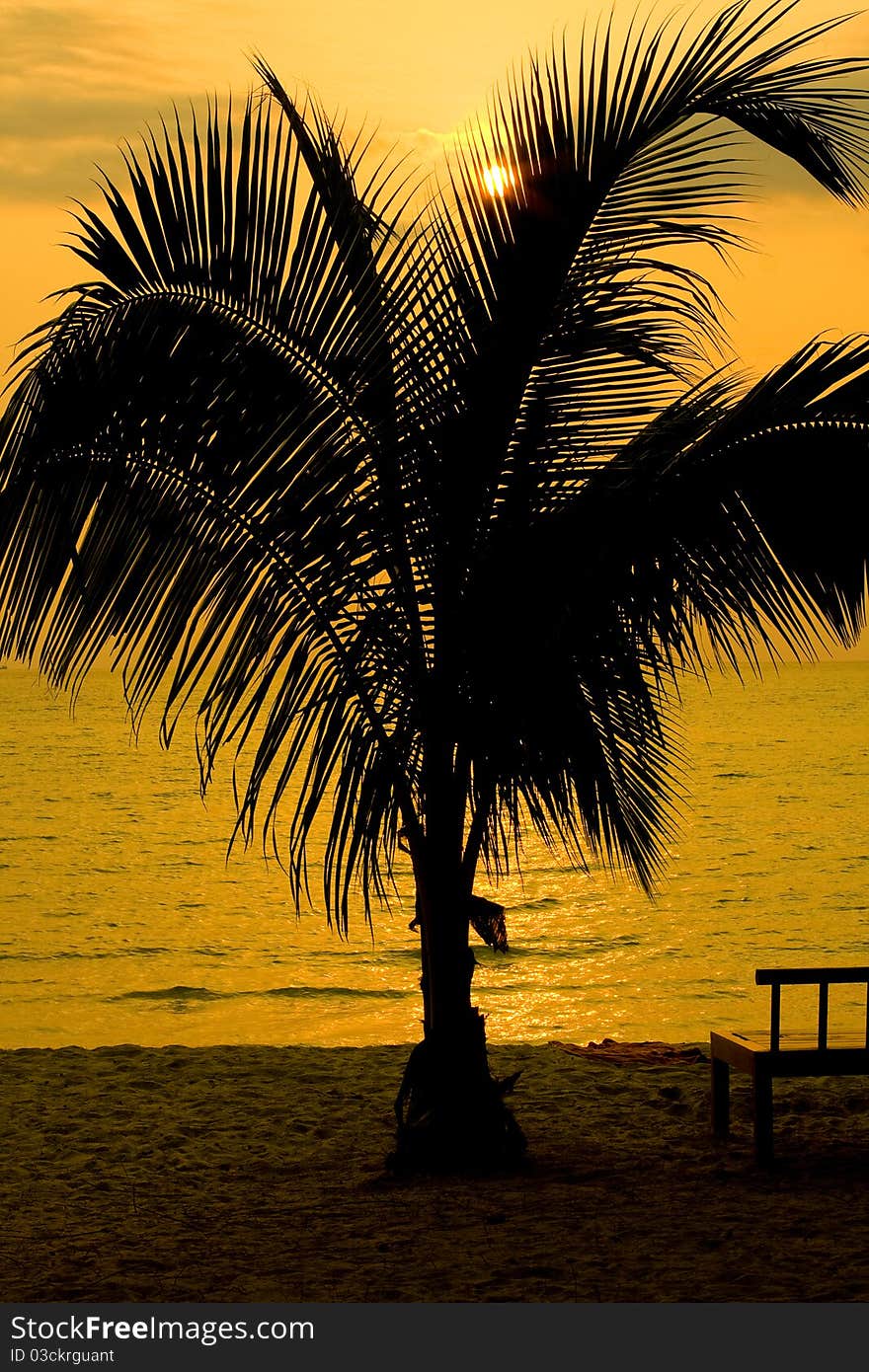 Silhouette Of Palm Trees