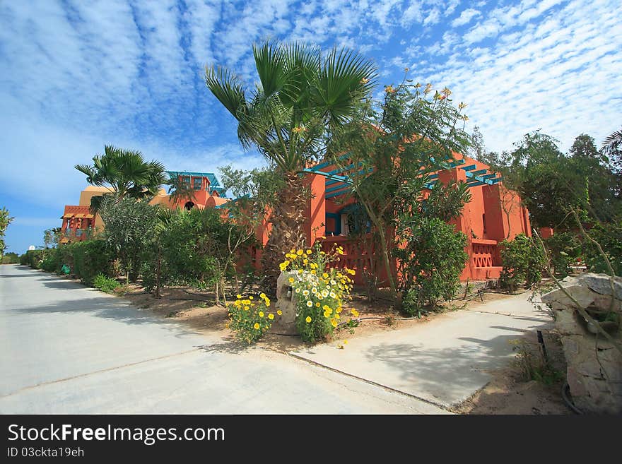 Path way with palms in summer day