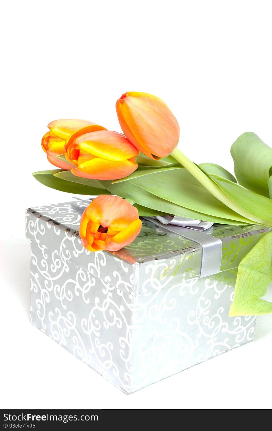 Yellow orange tulips laying on a silver present isolated on white