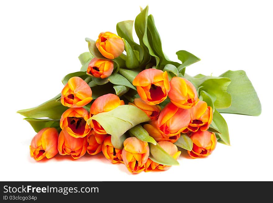 Bunch of yellow orange tulips isolated on white