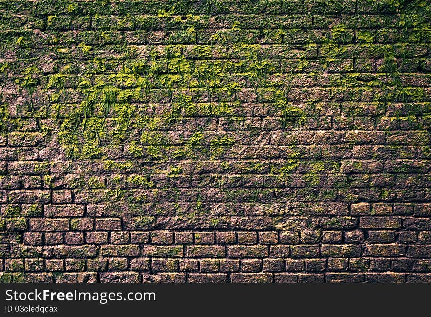 Brick wall with moss growing out of it. Brick wall with moss growing out of it