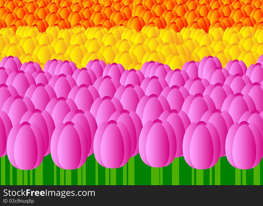 Flower-bed with purple and yellow tulips. Flower-bed with purple and yellow tulips