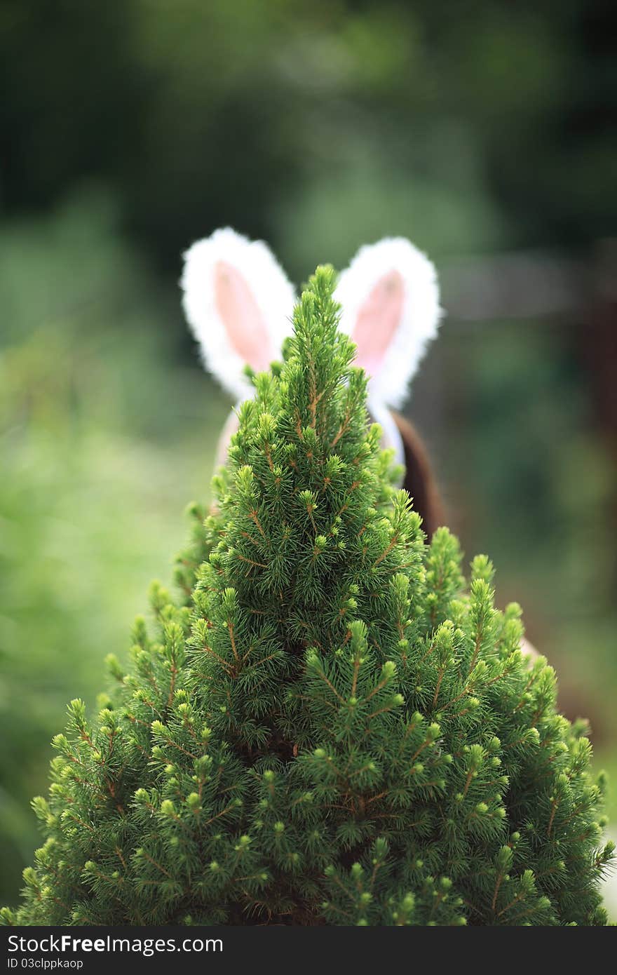 Rabbit ears outdoors on the meadow