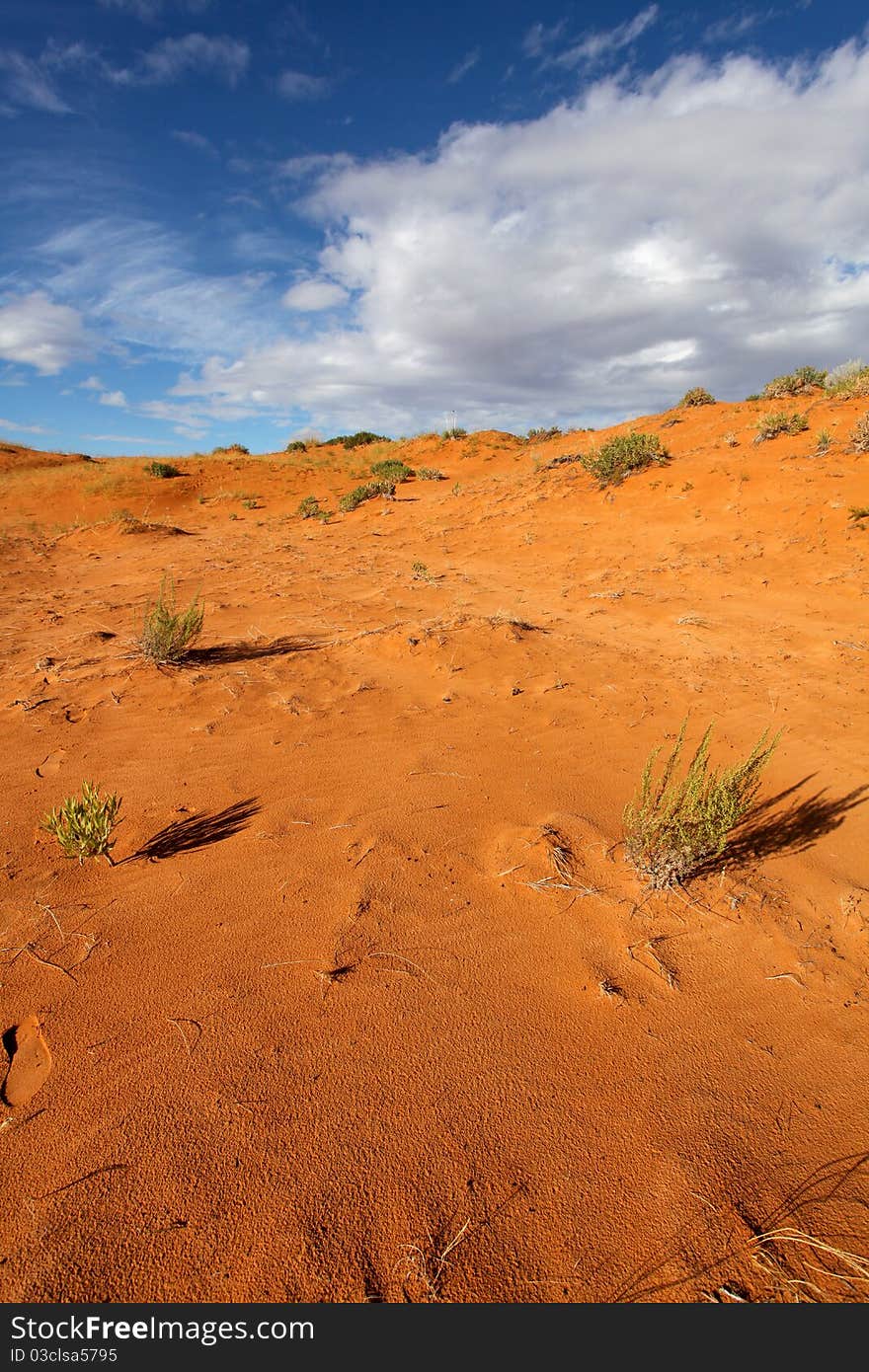 Coral Pink Sand Dune