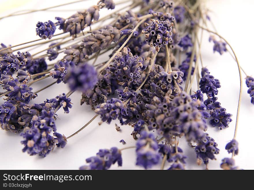 Lavender, herbal, relax