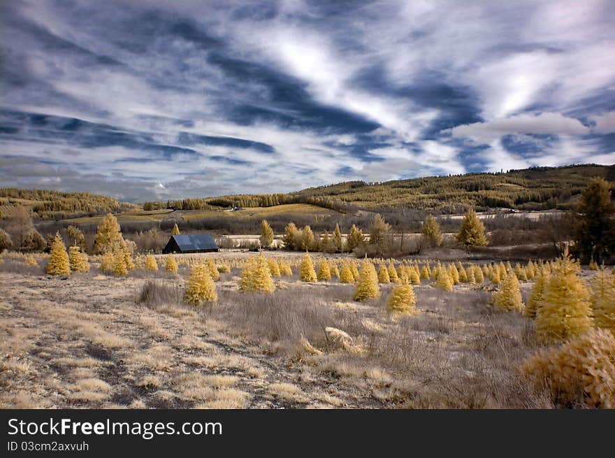 Infrared Landscape