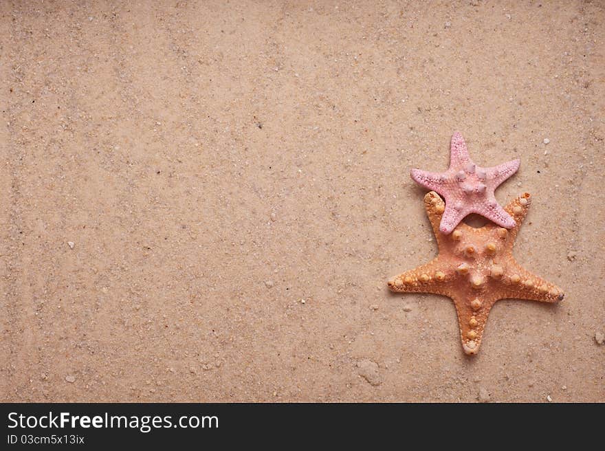 Sand Background with Two Starfish