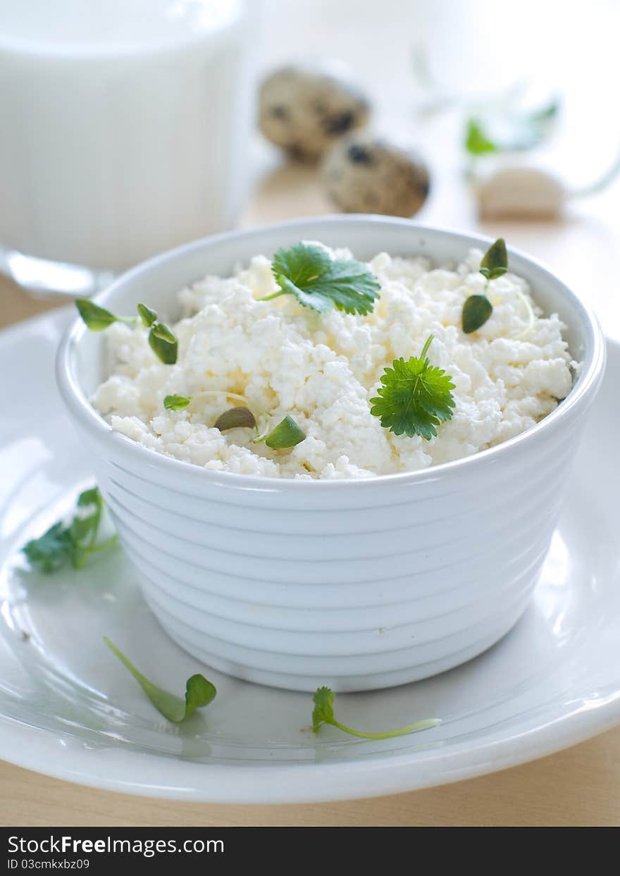 Cottage cheese in bowl. Healthy food