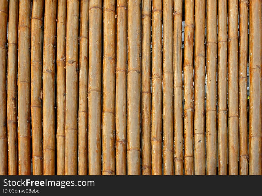 Close-up bamboo background texture with columns