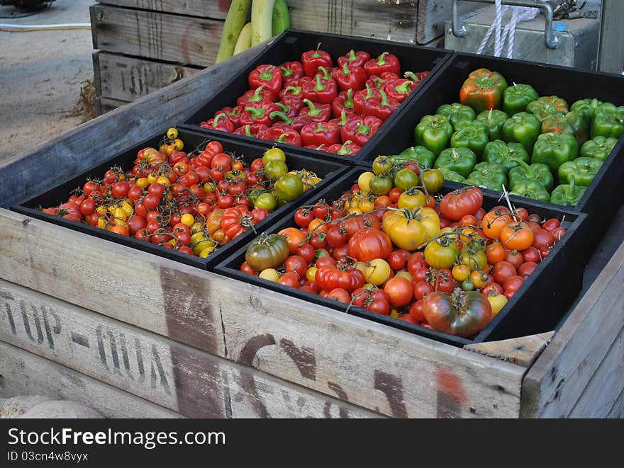 Fruits and Vegetables grown in an Organic Garden