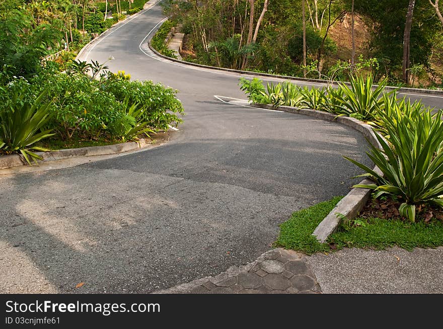 This road is in Thai park in Koa Keaw Open Zoo. This road is in Thai park in Koa Keaw Open Zoo.