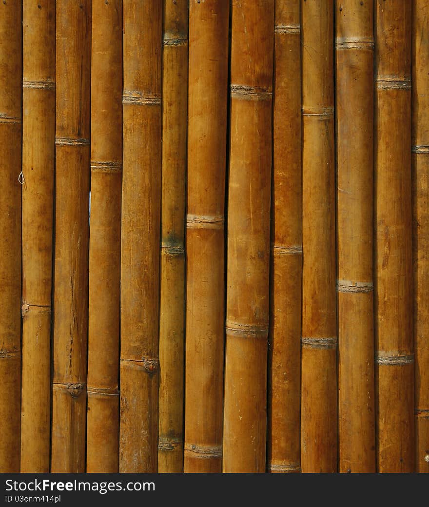 Close-up bamboo background texture with columns