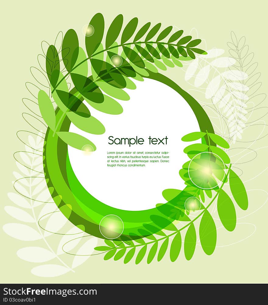 Vector green round backgrround with fern leafs. Vector green round backgrround with fern leafs