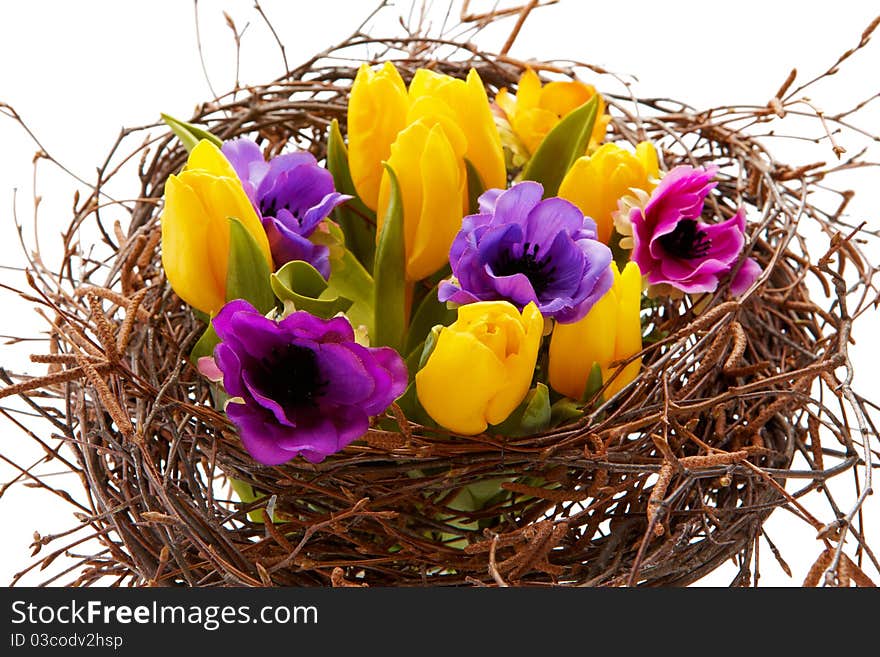 Different colors tulips in brown branches. Different colors tulips in brown branches